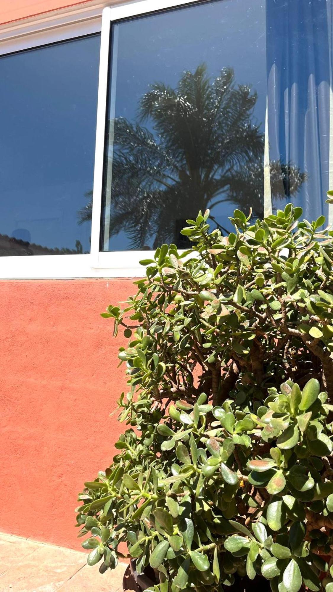 Apartment Leyda En